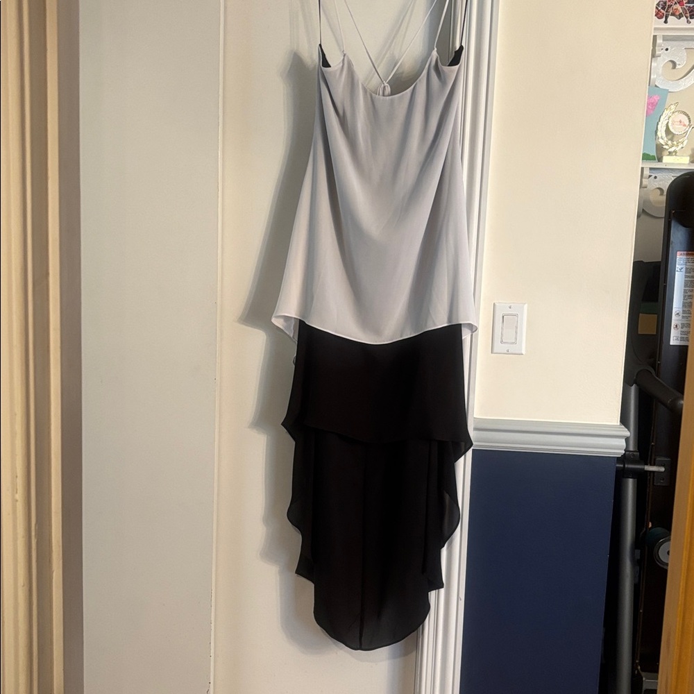BCBG Black and White Dress